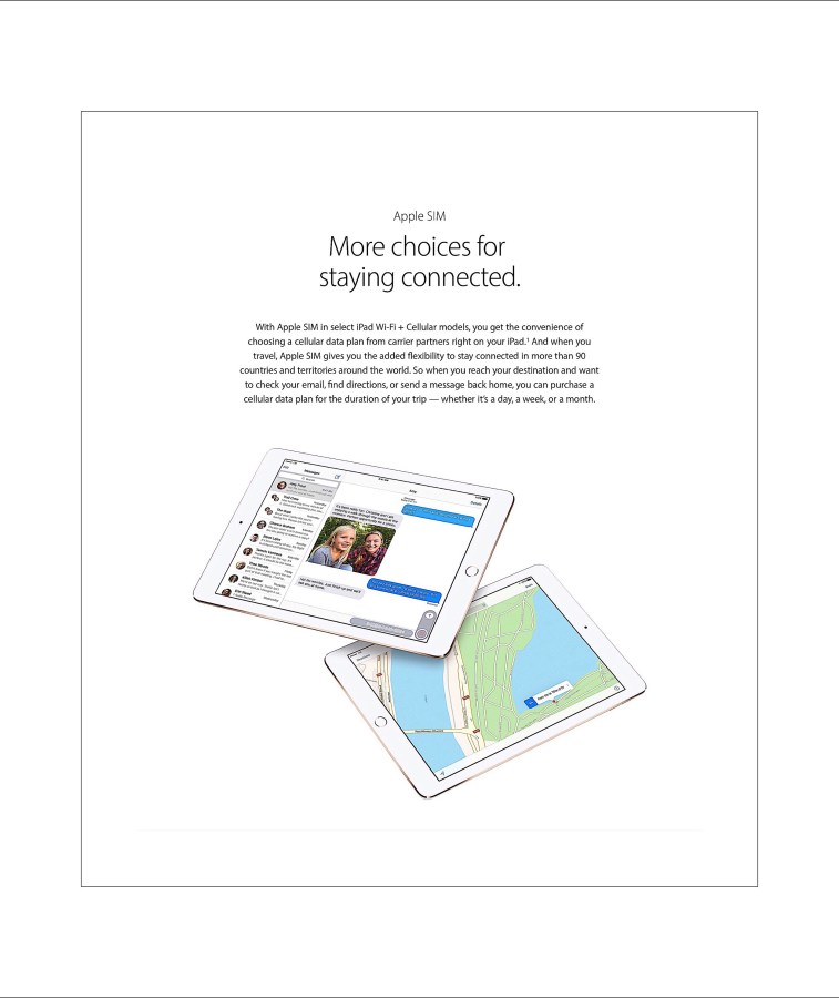 More Details About Apple's SIM