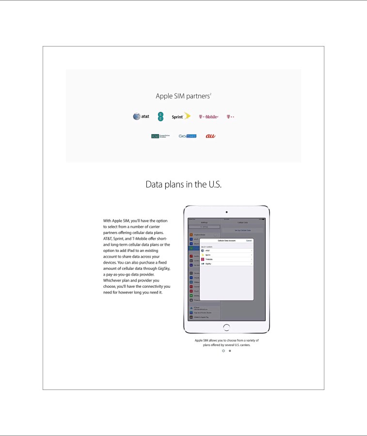 US Carrier's that can use Apple's SIM