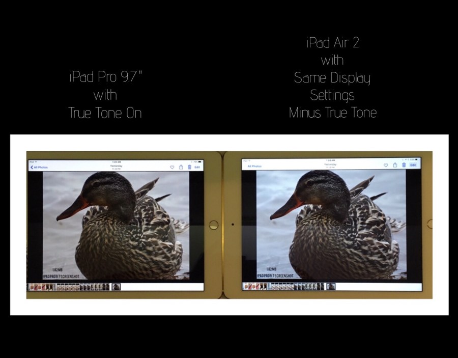 Illustration 1 of True Tone