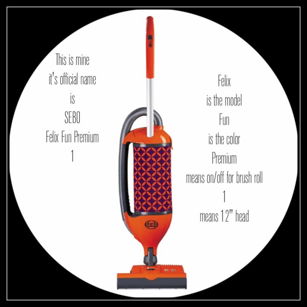 Title I Made Using TitleFX for a Post on Vacuum Cleaners