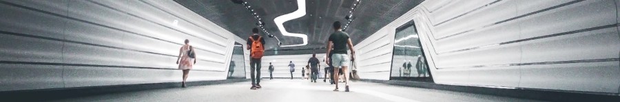 Photo by Mike Wilson https://unsplash.com/@mkwlsn