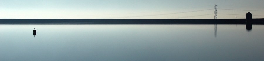 Photo by Travis Herzel https://unsplash.com/@busfromspeed/likes