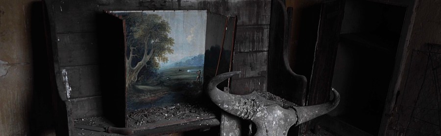 Photo by Travis Herzel https://unsplash.com/@busfromspeed/likes