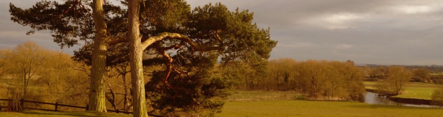 Photo by Travis Herzel https://unsplash.com/@busfromspeed/likes