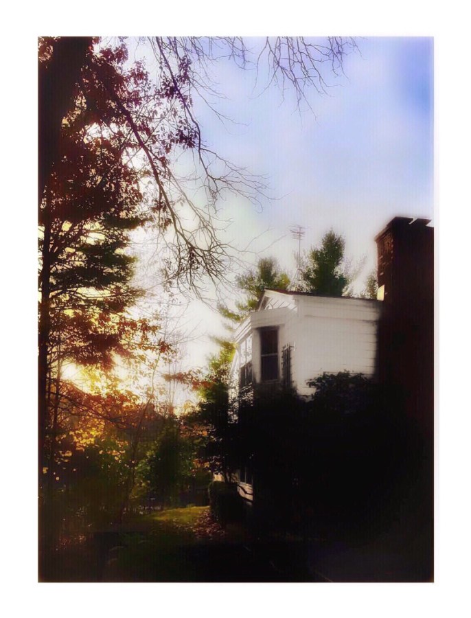 Standing in our backyard.