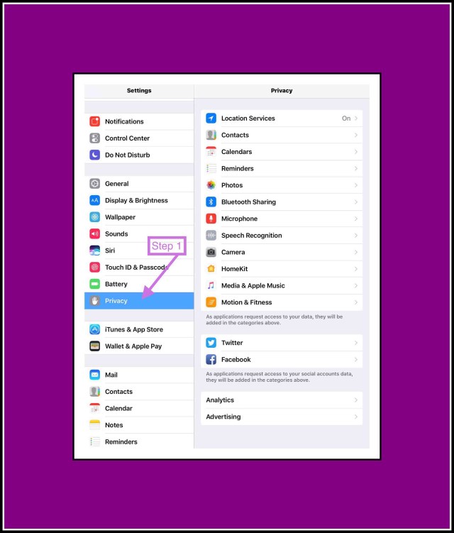 Step 1 Tap on Privacy