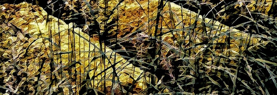 Abstract iPad Image