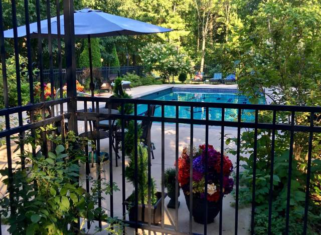 Our backyard swimming pool