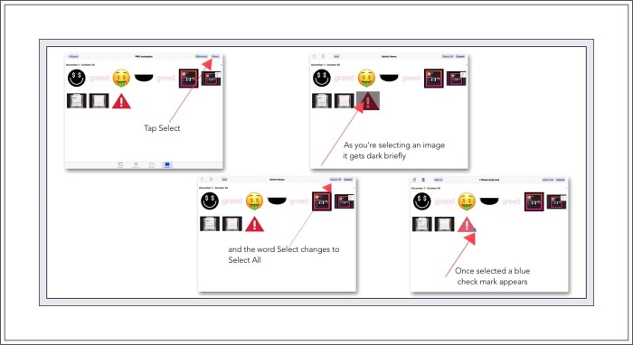 Select an image from an album or the camera roll.