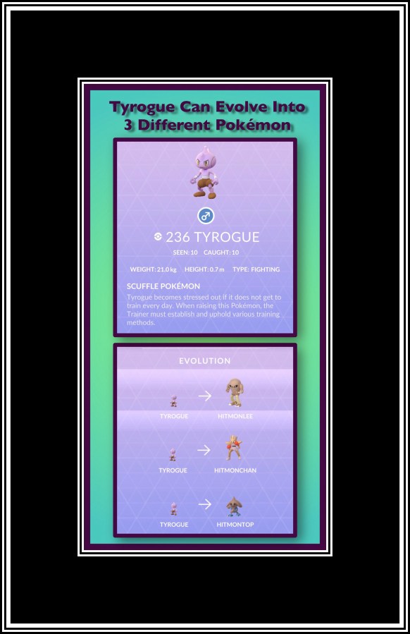 One Pokémons Evolution Course