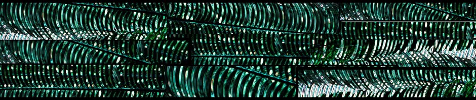 Composite of zoo plants