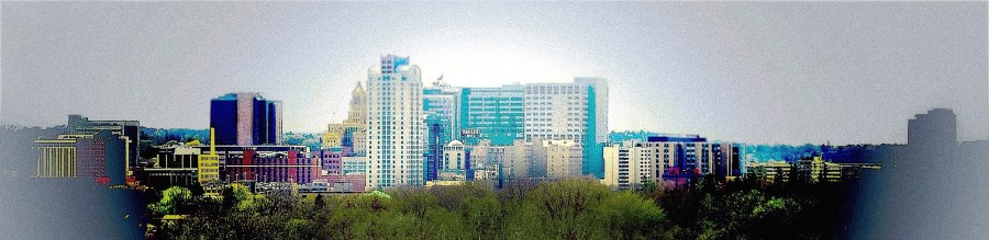 Cityscape from Wikipedia