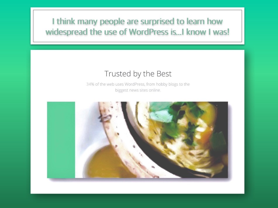 Many people are surprised to learn how widespread the use of WordPress is!